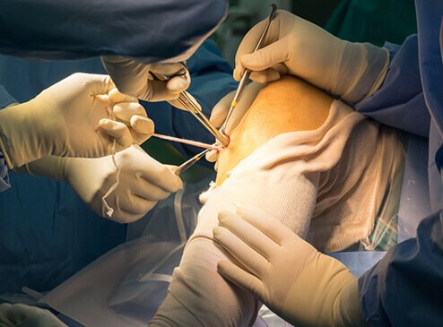 ortho 1